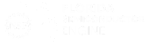 Florida Semiconductor Engine